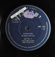 אילן ואילנית.