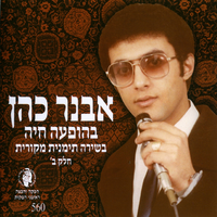 יא חביב יא לביב - בהופעה