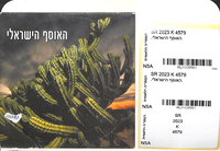 האוסף הישראלי.