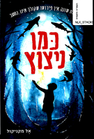 כמו ניצוץ / אל מקניקול ; מאנגלית: עידית שורר ; עריכת תרגום: מיכל בלום ; עורכת: נעמי בן-גור.