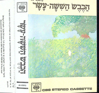 הכבש הששה עשר.