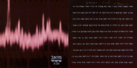 שיקרתי